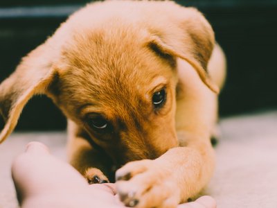 Article featured image