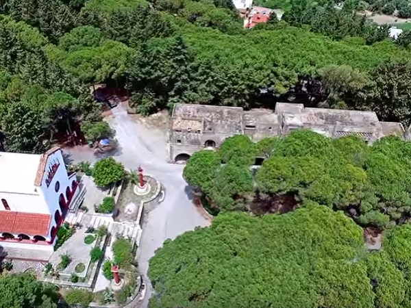 Article featured image