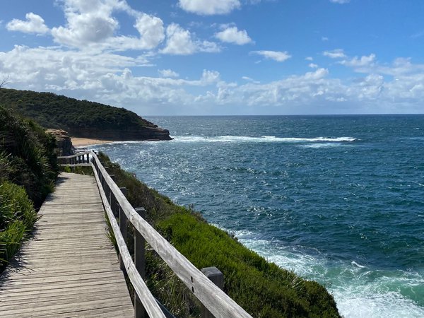 Article featured image