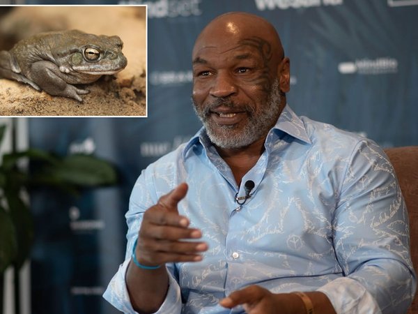 Article featured image