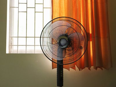 Article featured image