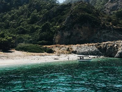 Article featured image