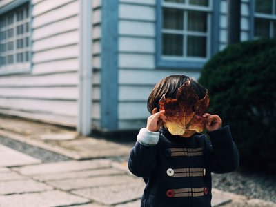 Article featured image