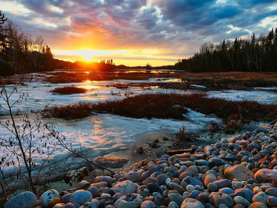 Article featured image