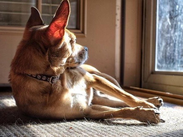 Article featured image