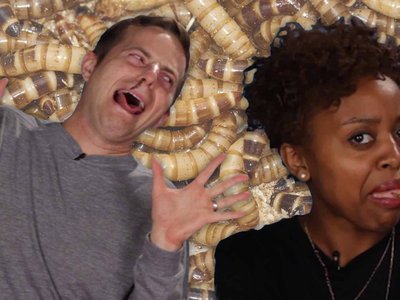 Article featured image