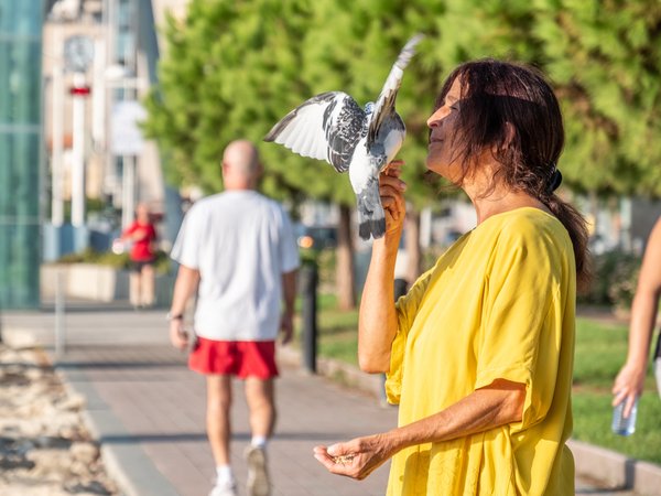 Article featured image