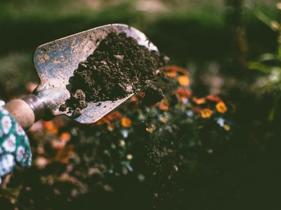 Article featured image