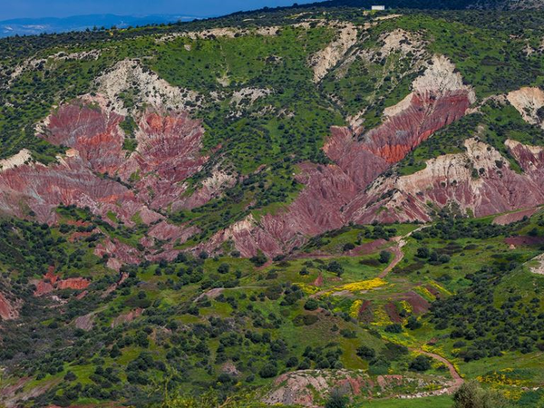 Article featured image