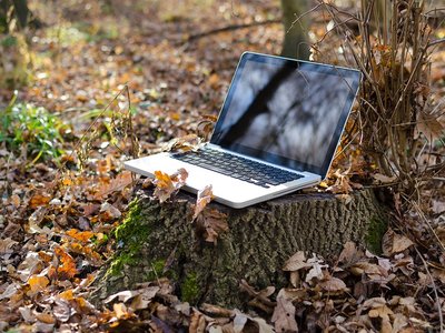 Article featured image
