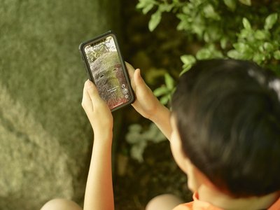 Article featured image