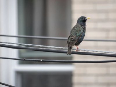 Article featured image