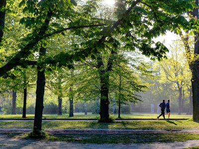 Article featured image