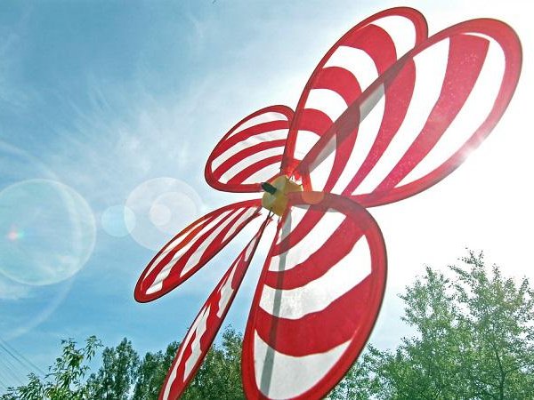 Article featured image