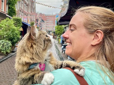 Article featured image