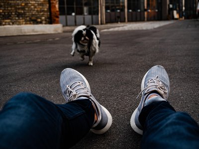 Article featured image