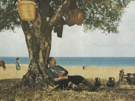 Article featured image