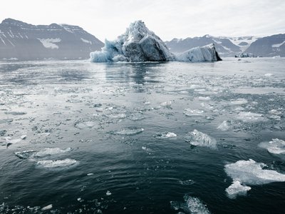 Article featured image