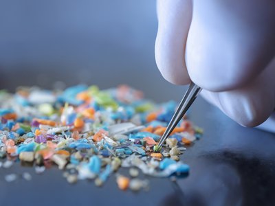 Article featured image
