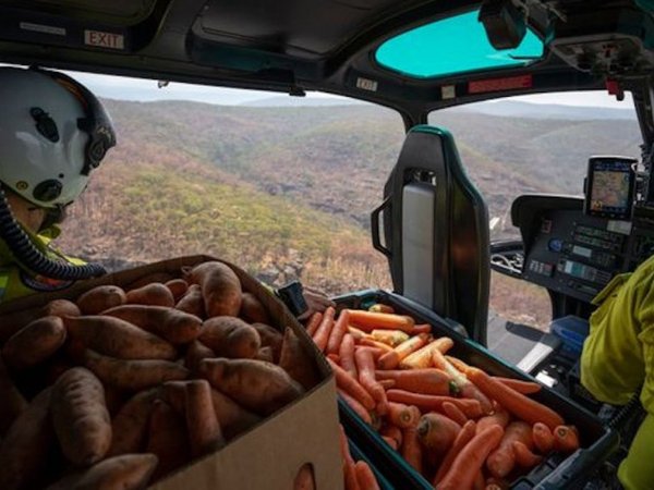 Article featured image