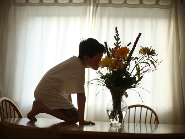 Article featured image