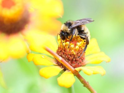 Article featured image