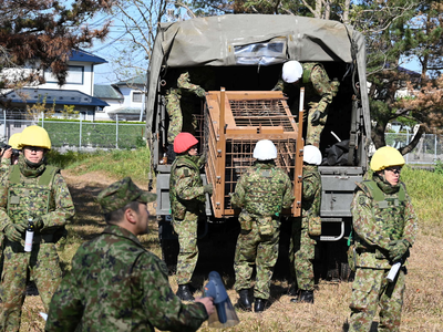 Article featured image