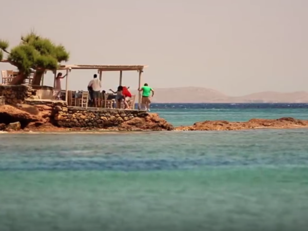 Article featured image