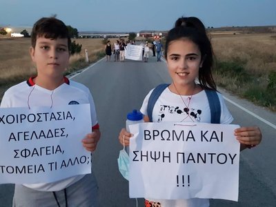 Article featured image