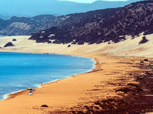 Article featured image