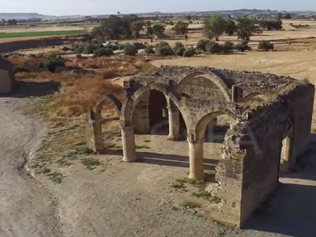 Article featured image