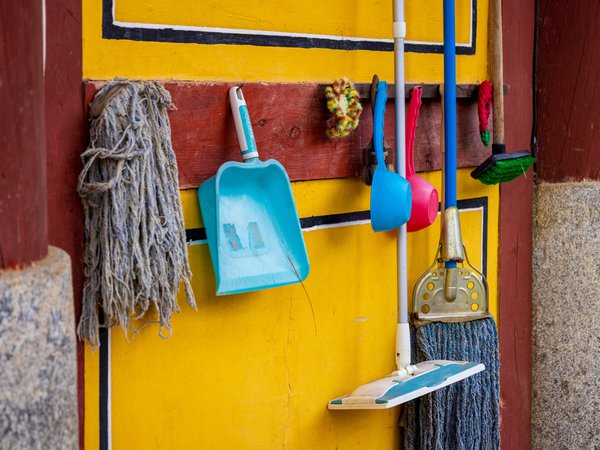 Article featured image