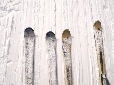 Article featured image