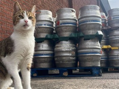 Article featured image