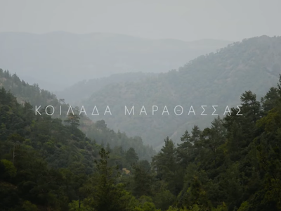 Article featured image