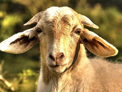 Article featured image