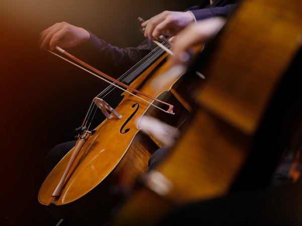 Article featured image