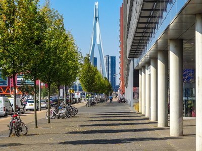 Article featured image