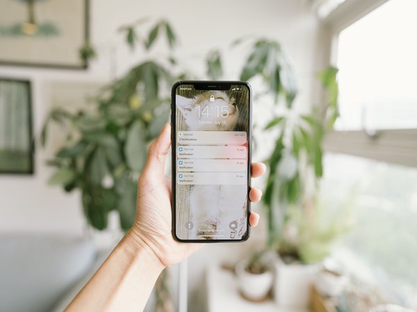 Article featured image