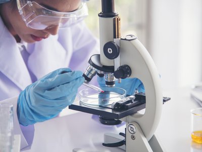 Article featured image