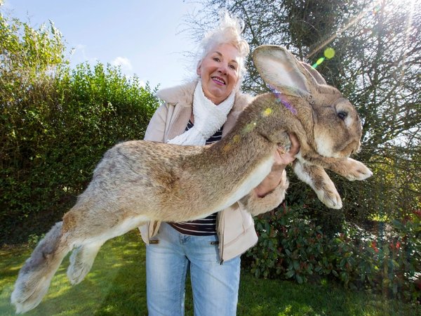 Article featured image