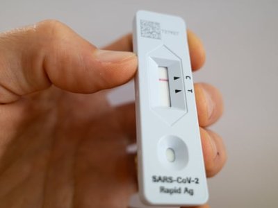 Article featured image