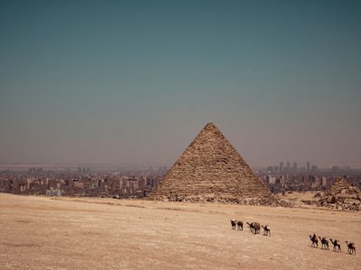 Article featured image