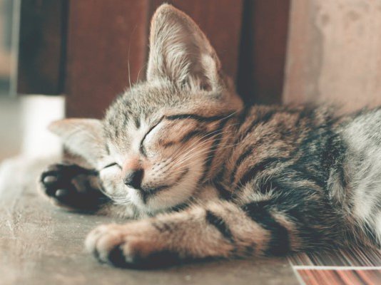 Article featured image