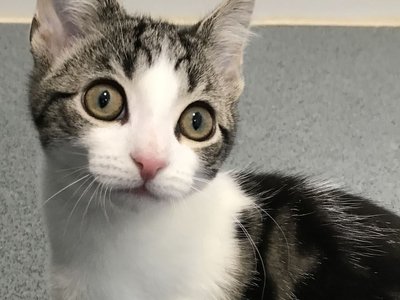 Article featured image