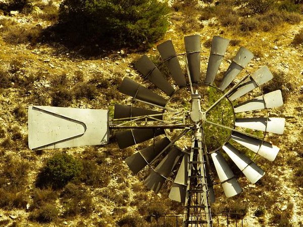 Article featured image