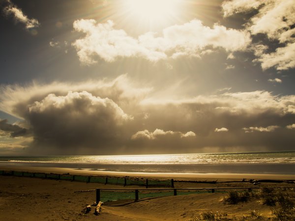 Article featured image