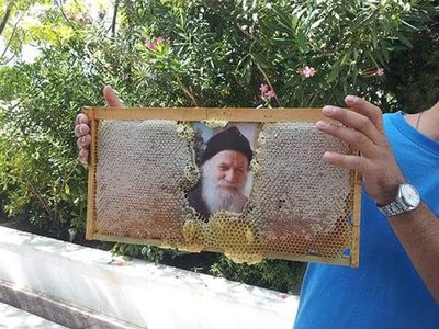 Article featured image