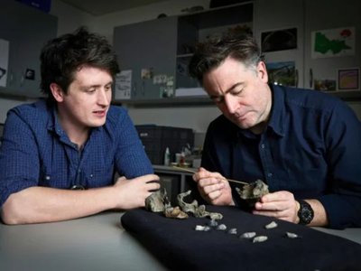 Article featured image