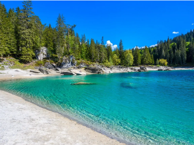 Article featured image